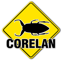 (c) Corelan-training.com